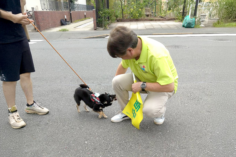 散歩中の犬と交流